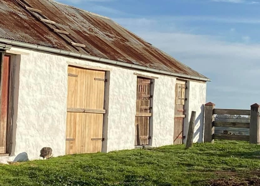 Restored white-walled farm building with corrugated roof